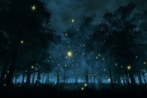 Illustrazione di un bosco illuminato da lucciole