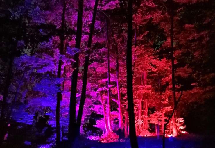 Il Bosco delle Luci di Ampezzo 