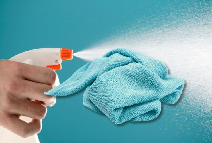 Mano con spray e panno