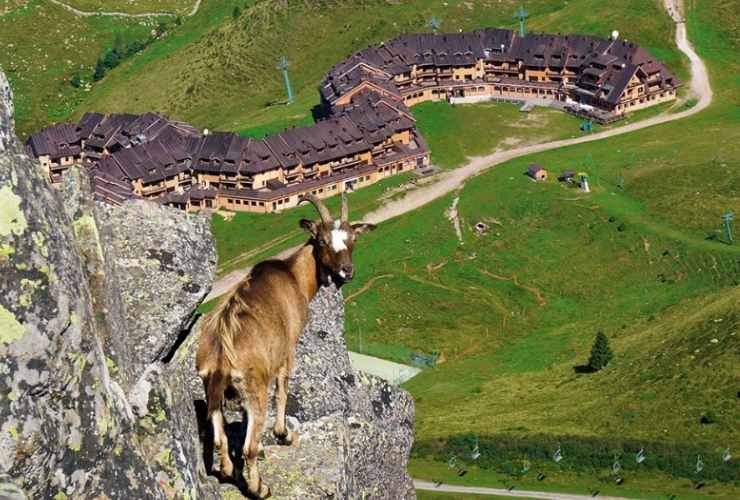 Montecampione