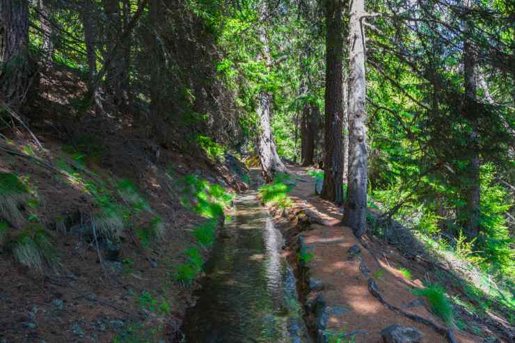 Ruscello Ru Courtaud nel bosco 