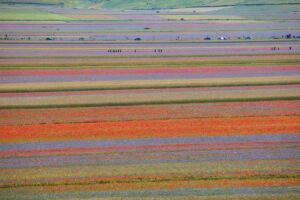 Vallate Castelletto di Norcia - montecampioneskiarea.it 10102025